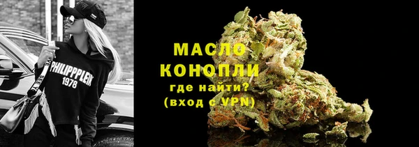 гидра Горнозаводск