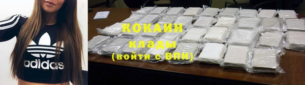 apvp Горняк