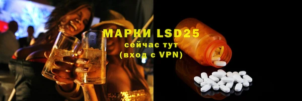 apvp Горняк