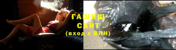 гидра Горнозаводск