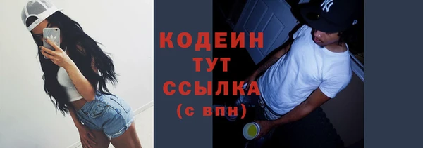 apvp Горняк
