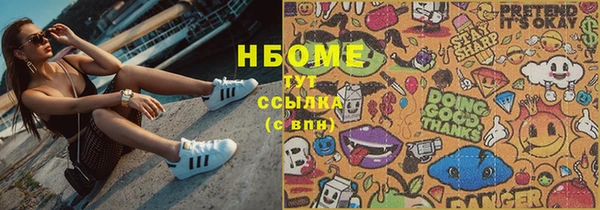 apvp Горняк