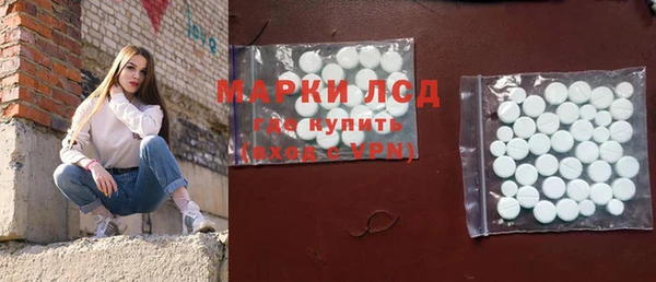 гидра Горнозаводск