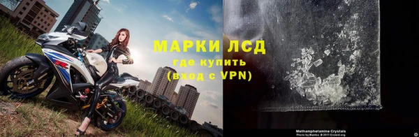 гидра Горнозаводск