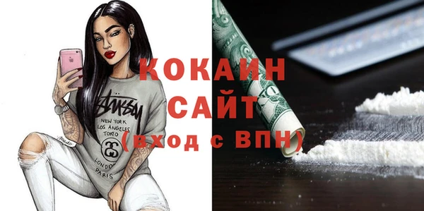 apvp Горняк