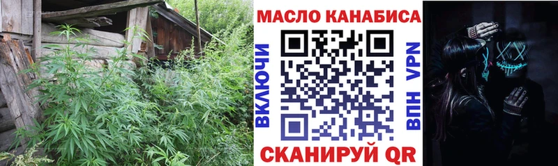 Купить закладки  Козьмодемьянск  Дистиллят ТГК Wax 