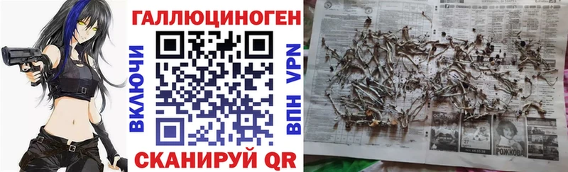 Купить где  Козьмодемьянск  Галлюциногенные грибы мицелий 